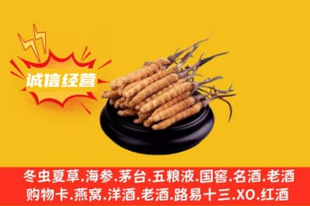 温州龙湾区回收冬虫夏草